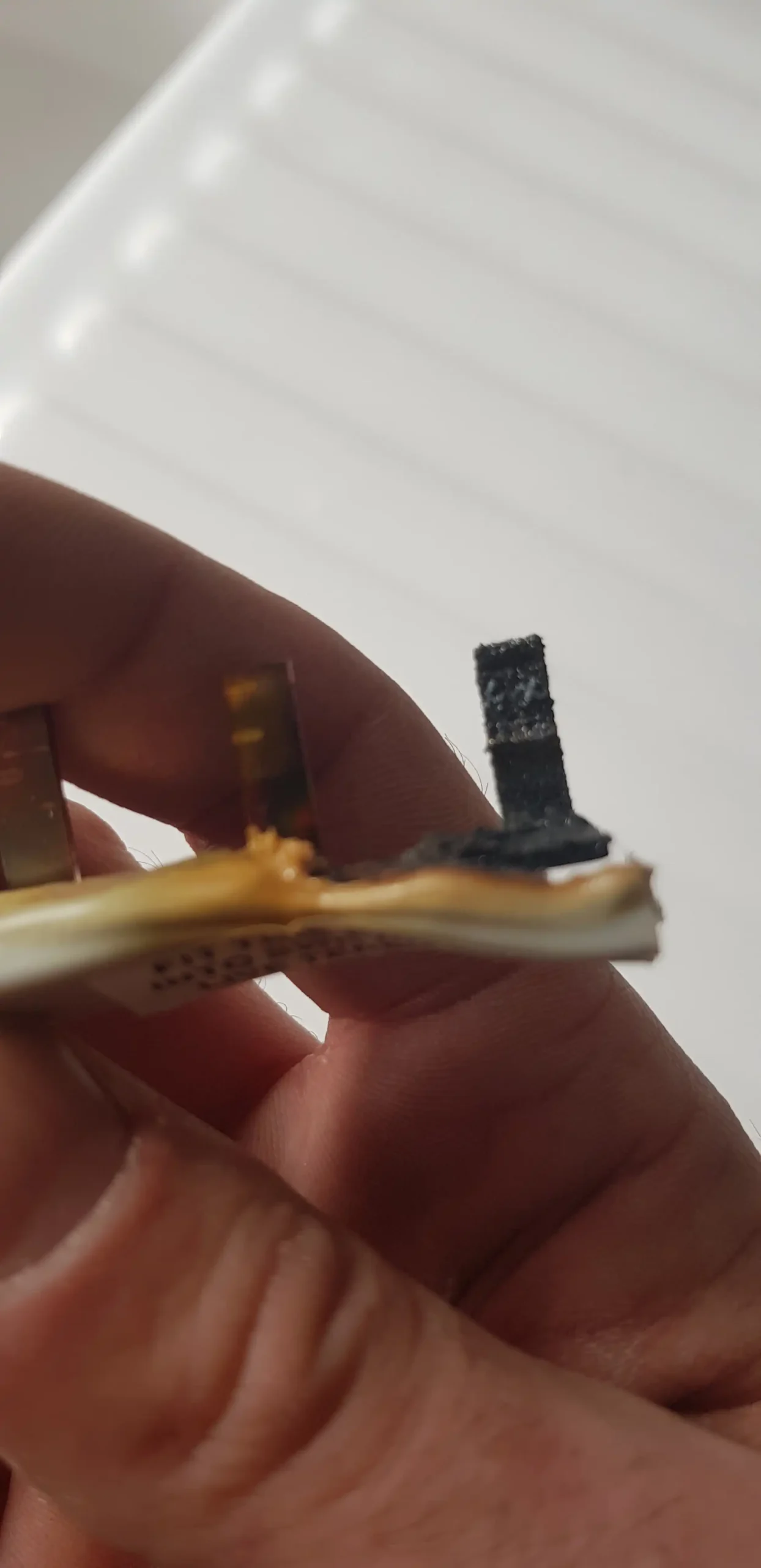 Overheated busbar found during EICR inspection in Sidmouth